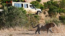 4 Days Aberdare, Lake Nakuru, Lake Naivasha Safari (minimum 2 persons)