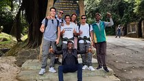 Mountain Kilimanjaro Day Hike