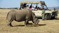 2 Days 1 night Olpajeta Conservancy - Ngare Ndare Forest (Minimum 2 Persons)