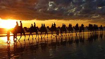 Camel Ride Experience in Agadir with Hassle-Free Transfers.
