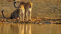 Nature & Wildlife - 10 Days Tour