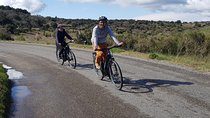Electric bike rental - One day