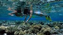Day Diving Trip To Hamata Island From Marsa Alam