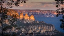 Private Blue Mountains Tour with Kangaroo and Koala Experience