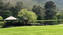 Cape Winelands Tour