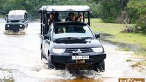 Glamping & Safari - Wilpattu National Park