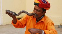 Best Deal of Golden Triangle Tour - India