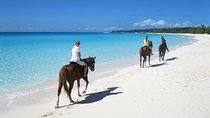  Macao Beach private horseback tour in punta cana 