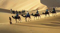 Desert Dreams Marrakech to Merzouga 3-Day Adventure
