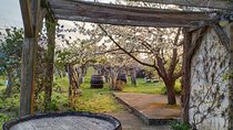 ETYEK wine trip - Just a stone’s throw away from Budapest