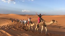 Private 1 night 2 Day Desert Tour from Fes to Fes