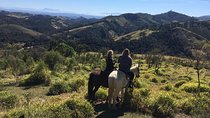 Exclusive Horse Experience with Pic-nic at Belvedere