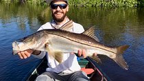 Everglades Fishing