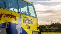 Auckland Explorer: Hop-on Hop-off Tour 