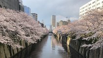 A Dreamy and Delicious Day in Tokyo