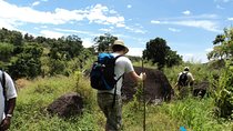The birdwatchers quest through Hanthana Mountain Range – Kandy