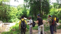 Private Trekking Tour to The World Heritage Temples