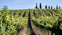 Wine Tasting at Mafra (30kms of Lisbon) | Monastery of Mafra | Ericeira Village 