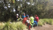 1 Day Marangu Route