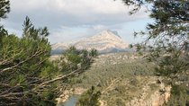 Cézanne Pathway : Wine and Art in Majestic Aix en Provence