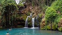 1 Day Ngare Ndare Forest From Nairobi by Jeep (minimum 2 Pax)