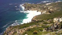 Private Tour with Wine Expert to Cape of Good Hope & Constantia Wine Region