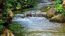 Day trip to Wadi El Rayan
