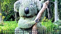 Discover Sydney - Botanic