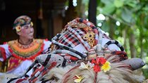 Famous Ubud villlage and Dance Tour with Rice Terrace And Waterfall Visit