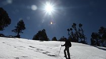 Naag Tibba Trek