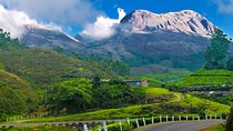 Affordable transfer from Kochi to Munnar
