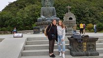 One-Day Hike at Mt. Seoraksan National Park from Seoul(Incl. Lunch)