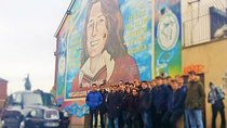 Cab Tours Belfast Famous Black taxi tours private 2hrs adventure 