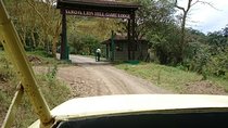 Lake Nakuru National Park Day Tour from Nairobi