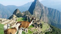 Excursion to Machu Picchu from Cusco with lunch Private Service