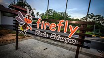 Firefly Park Kuala Selangor Seafood Dinner and Free Boat Ride