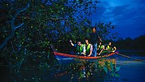 Kuala Selangor Fireflies & Nature Escape – From Kuala Lumpur