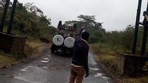 Day Trip to Arusha national Park