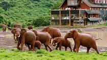 8 Days 7 Nights Luxury Safari By Jeep (minimum 2 persons)