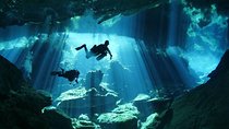 Cenotes diving from Riviera Maya