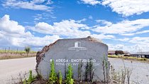 Private Wine Tour Alentejo