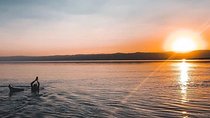 Airport to Dead Sea Transfer (private shuttle)