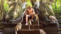 Mongkey Forest , Water Temple , Waterfall and Rice Terraces