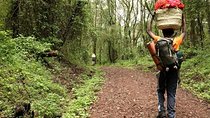 6 Days Mount Kilimanjaro Shira Route