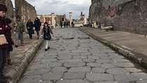 Pompeii and Sorrento From Naples