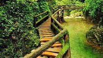 Private 1 day drive: Dujiangyan Irrigation and Mt. Qingcheng