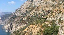 Transfer from Naples to Sorrento with 2hrs stop at Herculaneum or Vice Versa 
