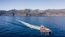 Royal Delfin - 4'5H Dolphin & Whale Watching - Los Gigantes Masca - Lunch & Swim