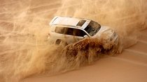 Desert Safari Abu Dhabi 