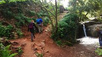 Montseny Guided Hiking Tour from Barcelona with Organic-friendly Lunch